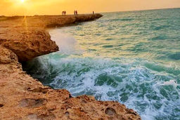 نبرد بقا در پارک ملی نایبند  