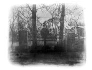 امید انقلاب/گزارشی از نمایشگاه چاپ مریم تخت‏‌کشیان