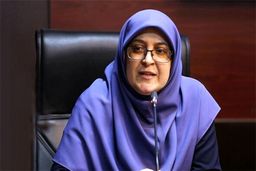 مهاجرانی: دولت مدافع آموزش زبان‌های محلی در کنار زبان رسمی است
