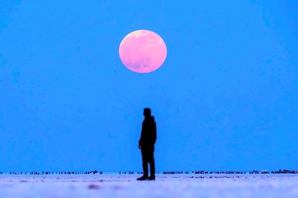 ماه را برای دیوانه‌ها بگذارید/درباره عکسی از خسوف خونین