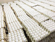 وزارت جهاد کشاورزی: مرغ، تخم مرغ و برنج ارزان می شود