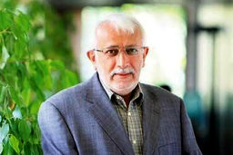 محبعلی: سیاست خارجی در حالت آچمز قرار داد، نیاز به ابتکارات جدید است