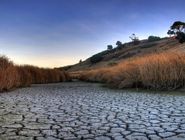 رضا اردکانیان: ظرفیت منابع انسانی؛ امید اصلی برای عبور از بحران آب