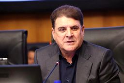 زینی‌وند: دولت دنبال اصلاح قانون احزاب و انتخابات است