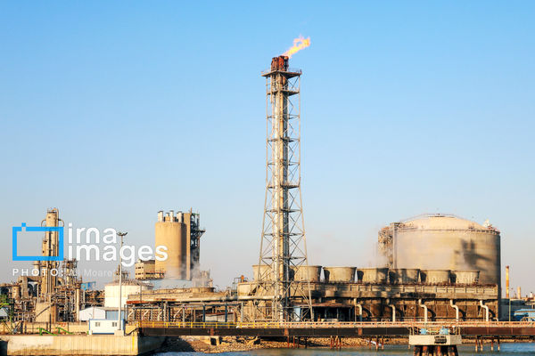 نرخ خوراک؛ تخفـیفی به غول‌ها/بررسی اصلاح فرمول در بودجه ۱۴۰۵ با حذف دو هاب اروپایی