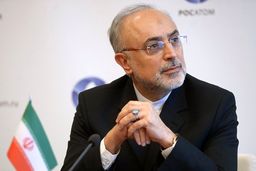 پیشنهاد صالحی برای مذاکره ایران و آمریکا: تغییر «عنوان» مذاکره به «ایران نباید سلاح هسته‌ای داشته باشد» 