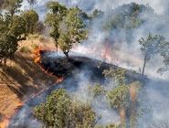 ارتفاعات چالوس دچار حریق شد 