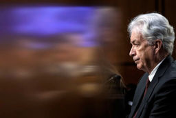 برنز: موهایم در مذاکره با ایران سفید شد