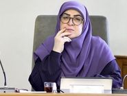 مهاجرانی: حذف ارز ترجیحی در هماهنگی با سایر قوا انجام شد