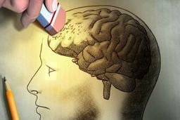 کلید پیشگیری از آلزایمر در یک مولکول ساده