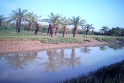 سدهای دز و کارون به یاری آبادان و خرمشهر آمدند