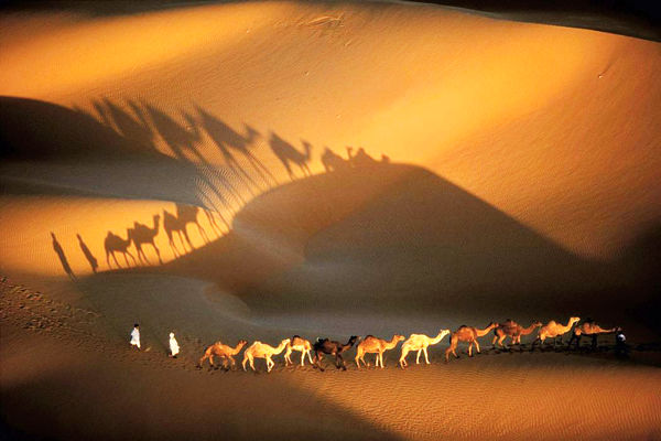 ای ساربان آهسته رو/درباره اهمیت تصویر در اشعار سعدی 