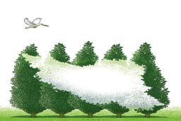 ایران همچون سرو/کاریکاتور جمال رحمتی