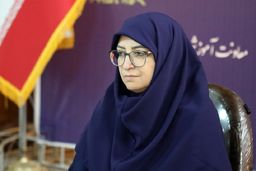 انصاری‌: ایران موفق به حذف بخش زیادی از گازهای مخرب لایه ازن شد