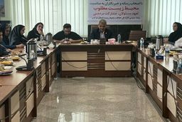 پیگیر رفع آلایندگی پالایشگاه شازند هستیم