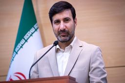 لایحه اجازه افزایش سهمیه دولت ایران در صندوق بین‌الملل پول تایید شد
