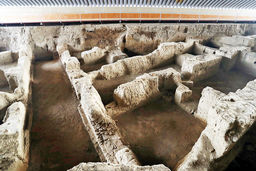 آرزویی که برآورده شد