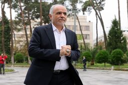 وزیر دادگستری: دولت با کاهش ضمانت اجرایی مهریه به ۱۴ سکه مخالف است