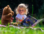 فروش خرس کوما تعلیق شد؛ کودکان در خطرند!