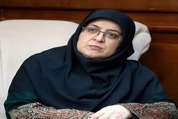 سخنگوی دولت: با جدیت در مسیر اصلاحات حرکت می‌کنیم