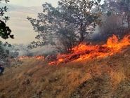 در استان مازندران حتی یک پایگاه اطفای حریق وجود ندارد