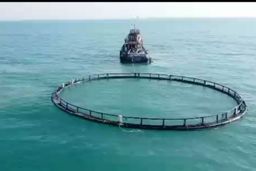 حفظ ذخایر ژنتیکی دریاها اولویت ملی است