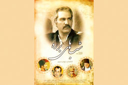 شب‌های برره در صدر  IMDb