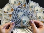 همتی دست به کار شد، قوانین جدید ابلاغ شدند