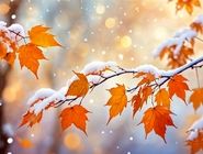 هفته برفی و بارانی در انتظار تهران