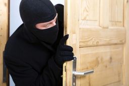 ویدئویی از سرقت عجیب یک لامپ در استان تهران 