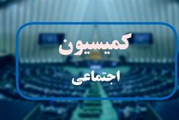 رئیس مجلس و وزیر کار به کمیسیون اجتماعی می‌روند
