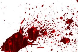 گفت‌وگو با مردی که همسرش را به خاطر موبایل قسطی به قتل رساند 