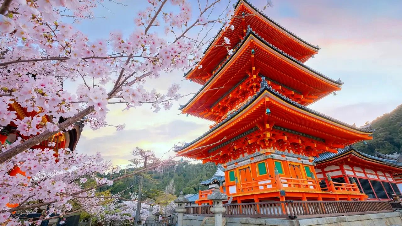 خرید تور ژاپن و بهترین تجربه سفر خارجی