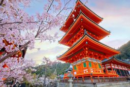 خرید تور ژاپن و بهترین تجربه سفر خارجی