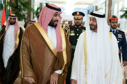 تعارض طبیعی منافع