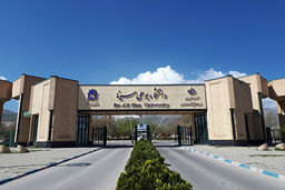 معاون وزیر علوم: حواشی دانشگاه بوعلی بزرگنمایی شد