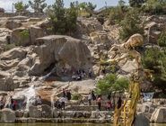 تمامی تفرجگاه‌های خراسان رضوی تعطیل شد
