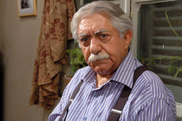 شمایل هنرمندی