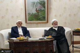 مهدی کروبی در دیدار با عارف: بی توجهی به شعارهای انتخابات، موجب ناامیدی مردم می‌شود