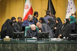 تجمعات در مجلس/با وقوع اعتراضات سراسری بار دیگر نمایندگان به سراغ این موضوع رفتند