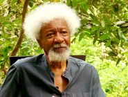 لغو ویزای وله سوینکا 