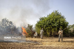 ۱۵۰ میلیارد تومان برای اطفای حریق جنگل‌ها
