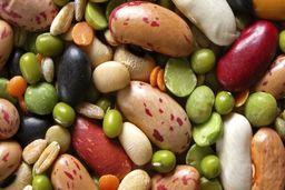 علت گران شدن قیمت حبوبات چیست؟ 