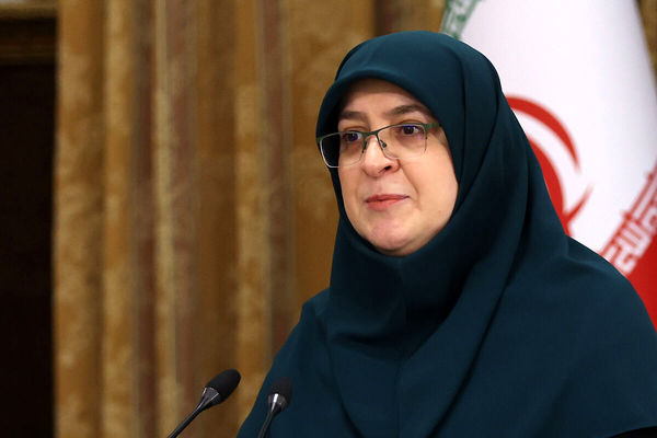 مهاجرانی : حساسیت‌های اجتماعی باید در سفر اعضای کابینه مدنظر قرار گیرد/ احتمال دارد دولت مقررات جدید برای سفر اعضای کابینه ایجاد کند
