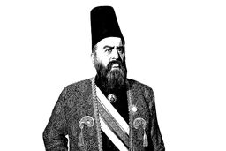 امیر ناکام
