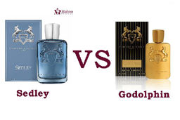 مقایسه عطرمارلی سدلی مردانه با مارلی گودولفین مردانه | کدوم رو بخریم بهتره؟